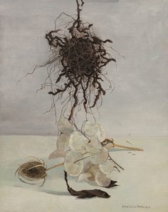Wurzel von Donatella Merlo