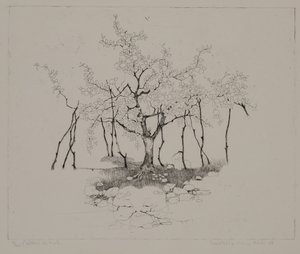 Der Apfelbaum von Donatella Merlo