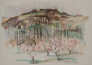 Der Weinberg von Vergne von Donatella Merlo