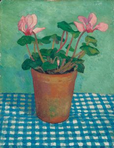 Alpenveilchen im Topf von Dora Carrington