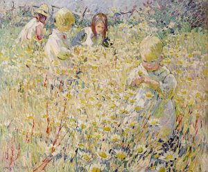 Zwischen den Gänseblümchen