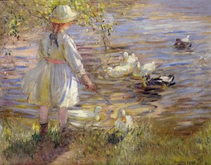 Enten füttern