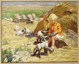 Die Lämmer füttern