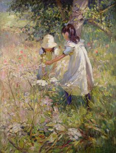 Wilde Blumen pflücken