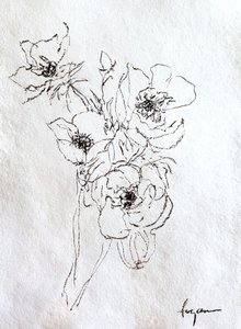 Zarte Blumenskizze von Dorothy Fagan