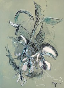 Elegante Orchideenskizze von Dorothy Fagan