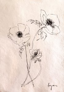 Minimalistische Blumenskizze von Dorothy Fagan