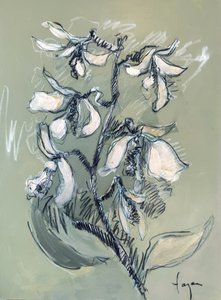 Weiße Blumenskizze von Dorothy Fagan