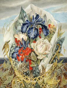 Iris und Rose von Dorothy M. Larcher