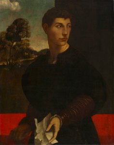 Porträt eines jungen Mannes von Dosso (follower of) Dossi