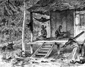 Malaysische Hütte