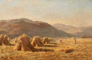 Ernte in der Nähe von Dumyat, Ochil Hills von Duncan Cameron