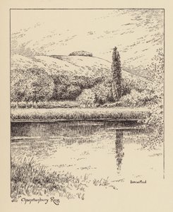 Sussex: Chanctonbury Ring von Duncan Moul