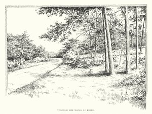 Durch die Wälder bei Esher