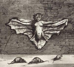 Eine Fledermaus, bekannt als fliegende Katze, aus China Illustrata von Athanasius Kircher (1601-80), 1667 von Dutch School