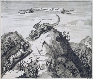 Ein Berg in der Provinz Jiangxi mit Felsen, bekannt als der Drache und der Tiger, aus China illustriert von Athanasius Kircher (1601-80) 1667 von Dutch School