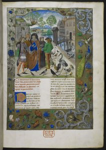Bartholomaeus Angelicus, aus De proprietatibus rerum auf Französisch (Livre des proprietez des choses) von Dutch School
