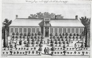 Holländischer Garten, aus De Nederlandze Hesperides von Jan Commelin, veröffentlicht 1676 von Dutch School
