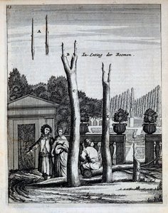 Limonen- und Orangenbäume, aus De Nederlandze Hesperides von Jan Commelin, veröffentlicht 1676 von Dutch School