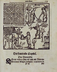 Bäume pflanzen, aus Der niederländische Gärtner von Johann van der Groen, veröffentlicht 1699 von Dutch School