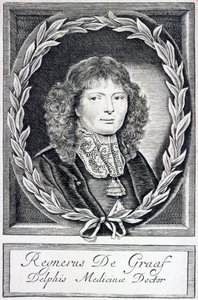 Regnier de Graaf, um 1670 von Dutch School