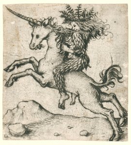 Wildmann auf einem Einhorn