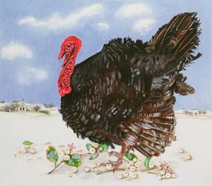 Schwarzer Truthahn mit Schneebeeren, 1996 von E.B. Watts