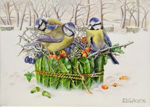 Blaumeisen im Blätternest, 1996