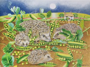 Igel mit Erbsen neben einem Mohnfeld bei Nacht, 1994