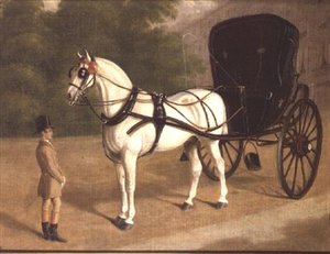Ein graues Pferd und Cabriolet mit Kutscher von E.M. Fox