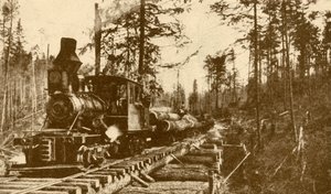 Eine Holzfällerbahn, British Columbia, 1930 von ENA