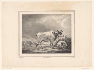 Stehende Kuh und liegendes Schaf in Landschaft