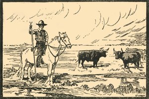 Landschaft von Camargue von E Laget