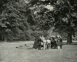 Ihre Majestät pflanzt einen Baum im Garten des Buckingham Palace als Gedenkstätte des Jubiläums, Juni