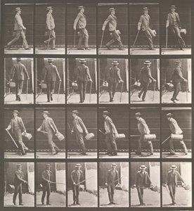 Tierlokomotion. Eine elektro-fotografische Untersuchung... von Tierbewegungen. Beginn..., 1880er Jahre von Eadweard Muybridge