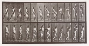Tierlokomotion. Eine elektro-fotografische Untersuchung aufeinanderfolgender Phasen von Tier..., 1880er Jahre