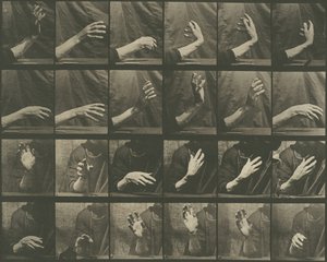 Tierbewegung, Platte 535 von Eadweard Muybridge