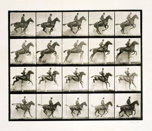 Mann und Pferd springen über einen Zaun, 1887 von Eadweard Muybridge