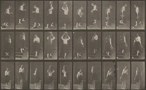 Teller Nummer 504. Auf- und absteigende Treppen von Eadweard Muybridge
