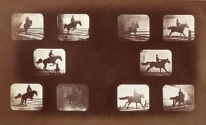 Tierbewegung (Mann auf Pferd über Hürden) von Eadweard Muybridge