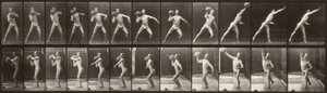 Tierlokomotion (Tafel 319) (Mann wirft einen Ball) von Eadweard Muybridge
