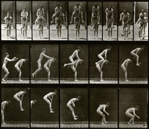 Tierbewegung von Eadweard Muybridge