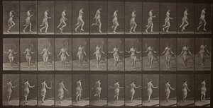 Tierbewegung, Platte 174 von Eadweard Muybridge