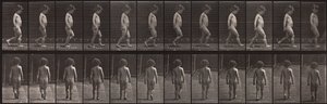 Tierbewegung, Platte 467 von Eadweard Muybridge
