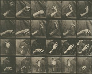 Tierbewegung, Tafel 535 von Eadweard Muybridge