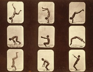 Athleten. Flip flap 