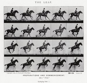 Eadweard Muybridge: Der Sprung (s/w Foto) von Eadweard Muybridge