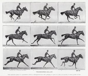 Eadweard Muybridge: Der Quer-Galopp von Eadweard Muybridge