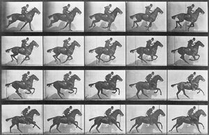 Galoppierendes Pferd, Platte 628 aus 