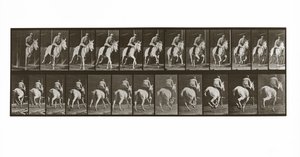 Galoppierendes Pferd mit Reiter, Platte 635 aus Animal Locomotion